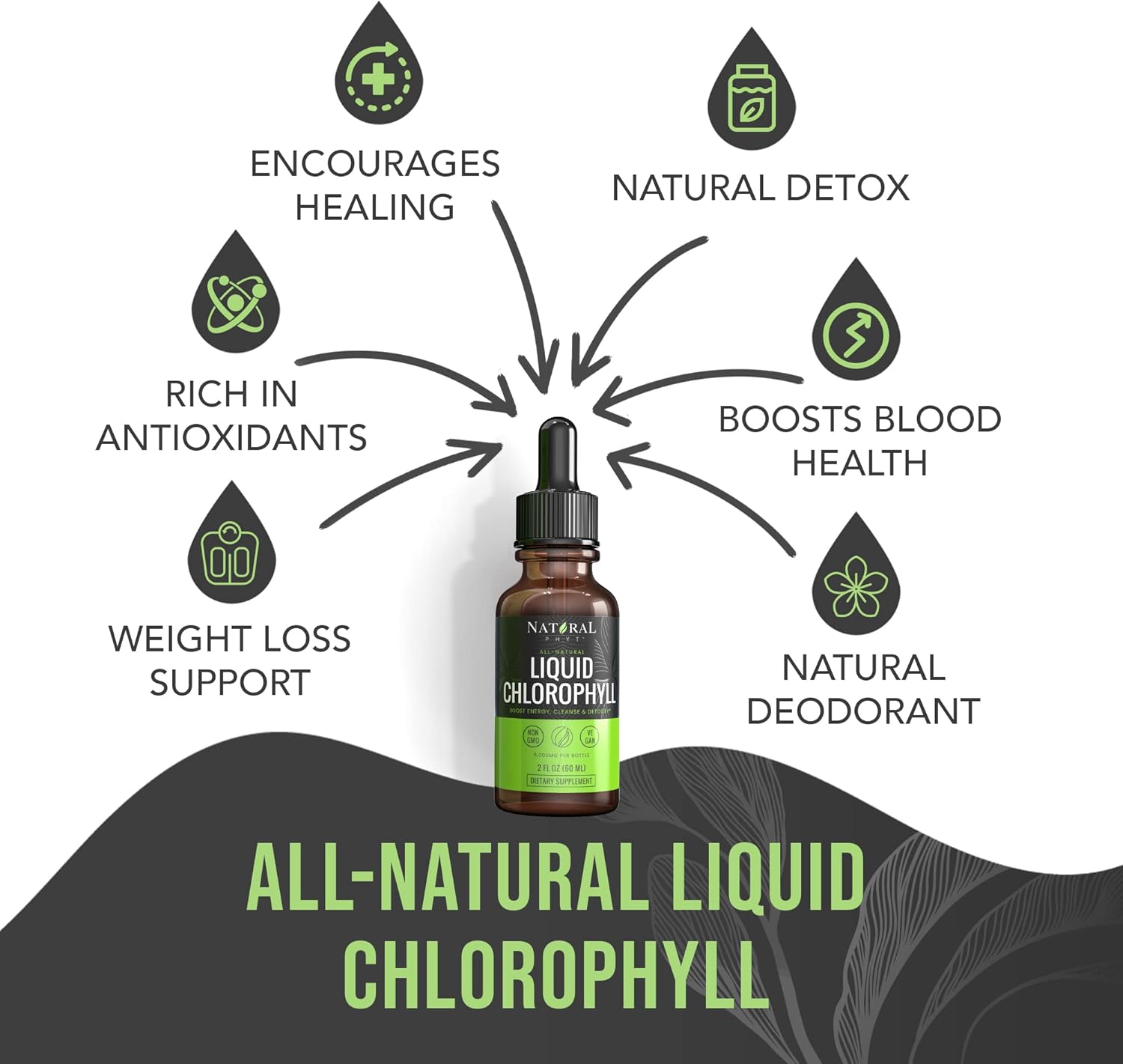 Chlorophyll Liquid Drops – Premium Quality | Energy Boost | Immune System Support | Internal Deodorant | Altitude Sickness. Premium Quality – 100% Natural, Potent, Minty Taste, 2 fl oz