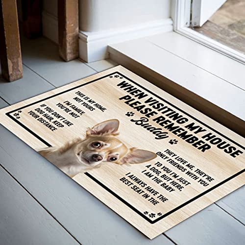 Doormat This is My Home Not Yours Cavalier King Charles Spaniel Personalized Floor 16x24 Inch Non-slip Doormat Home House Porch Patio Outside Gifts for Dog Mama Papa Family Friends