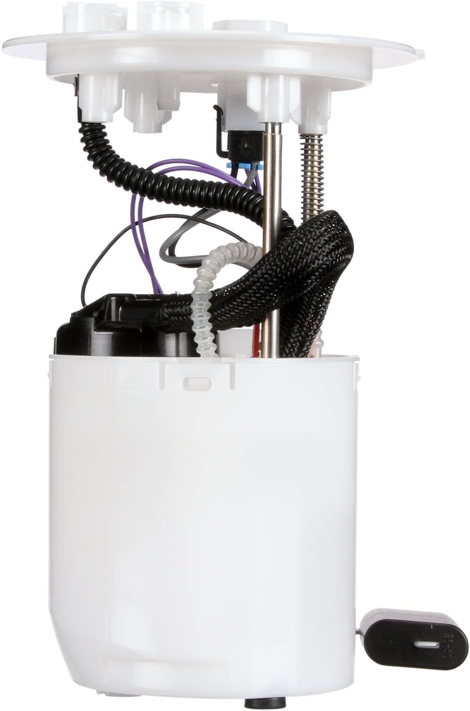 Delphi FG1381 Fuel Module