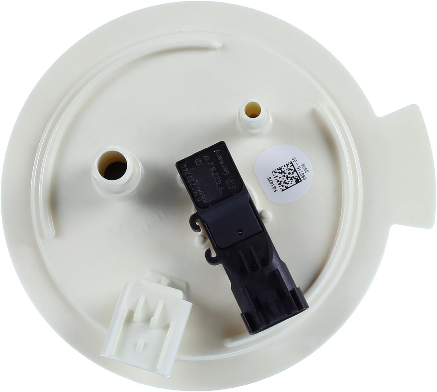 Delphi FG1478 Fuel Module