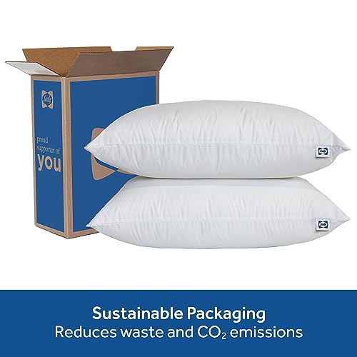 SEALY Bed Pillow, Hypoallergenic Pillow with Recycled Fill, Slumber Bed Pillows - King Pillows, Set of 2
