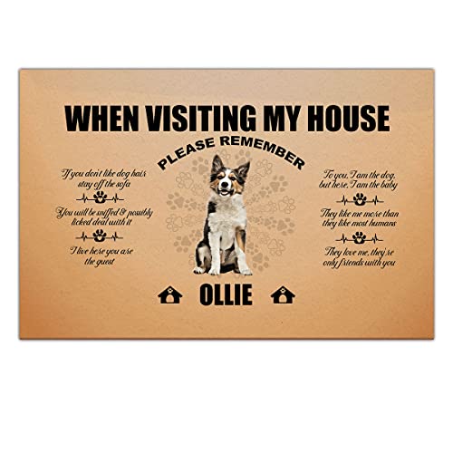When Visiting My House Please Remember Boxer Dog Doormat Personalized Funny Entry Front Door 16x24 Inch Outside Carpet Decorative Doormats Gifts to Dogs Mama Papa Family Friends