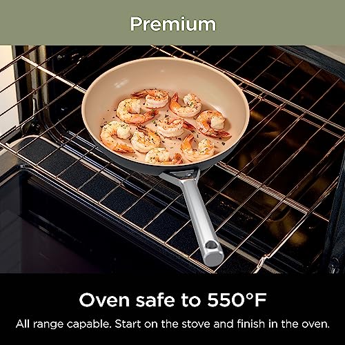 Ninja CW90026 Extended Life Premium Ceramic 10.25