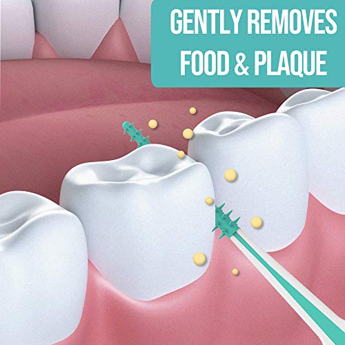 Dental Picks Mint Brush Picks 100Ct/Pack, 2 Packs (200Ct)