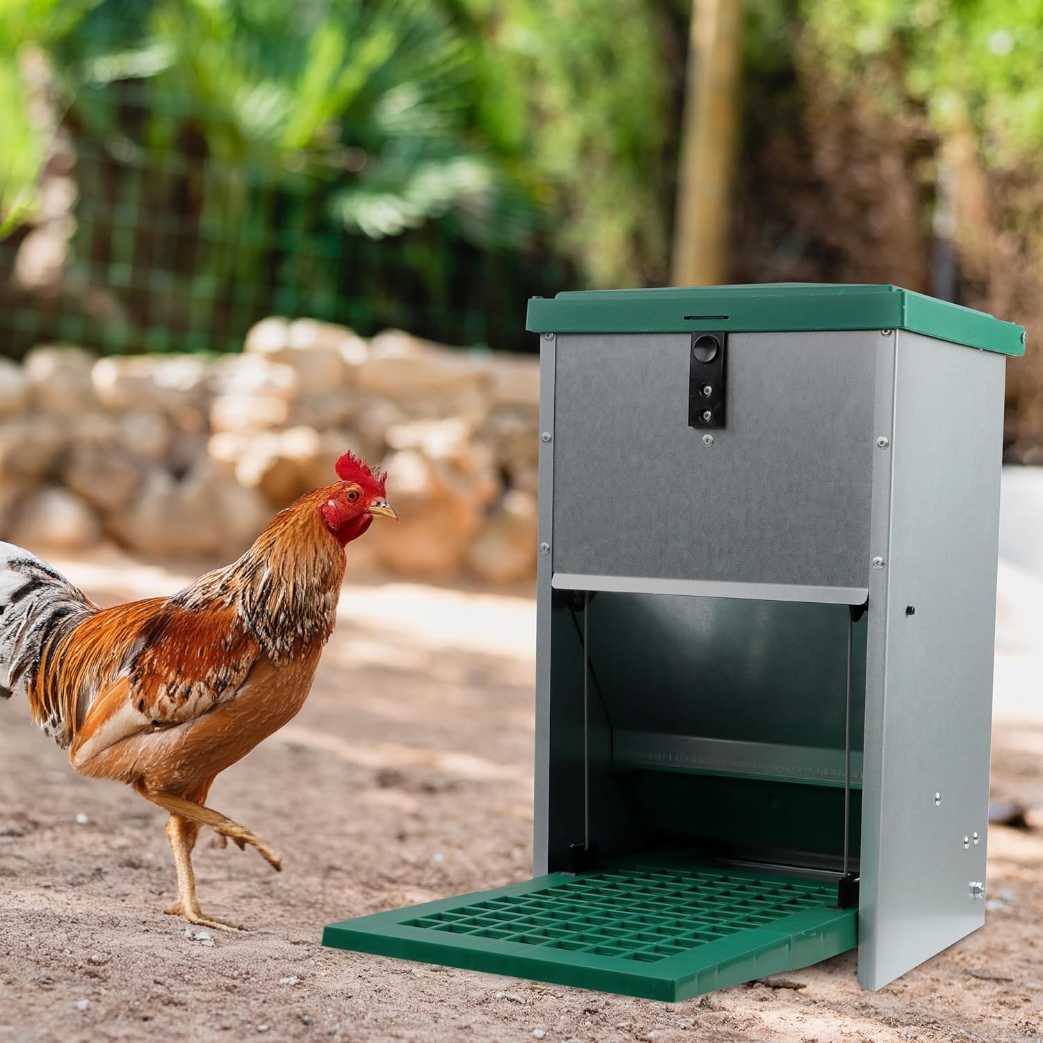 Chicken Treadle Feeder - 17.6 lb. Capacity, Pressure Lever Automatic Chicken Feeder System, Pest Proof