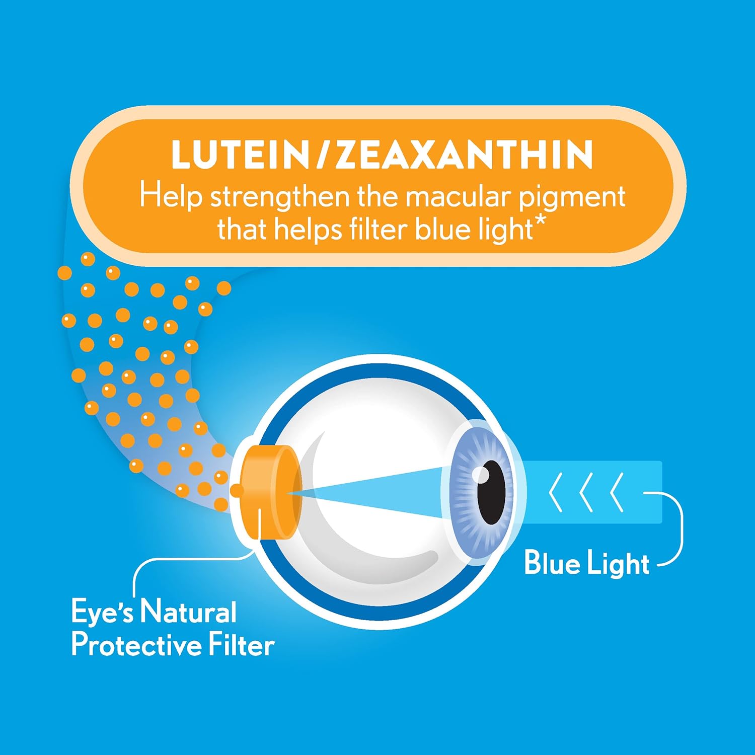 Bausch + Lomb Ocuvite Blue Light Lutein 25mg Lutein & Zeaxanthin Supplement, 30 Softgels (Pack of 2)