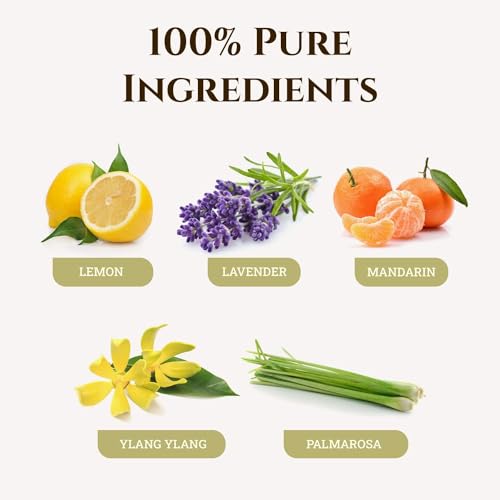 EcoDrop - Frankincense Essential Oil - 100% Pure Omani Frankincense Sacra,Therapeutic Grade for Aromatherapy, Massage, Diffusers & Bath - 0.17 Fl Oz, (Boswellia Sacra)