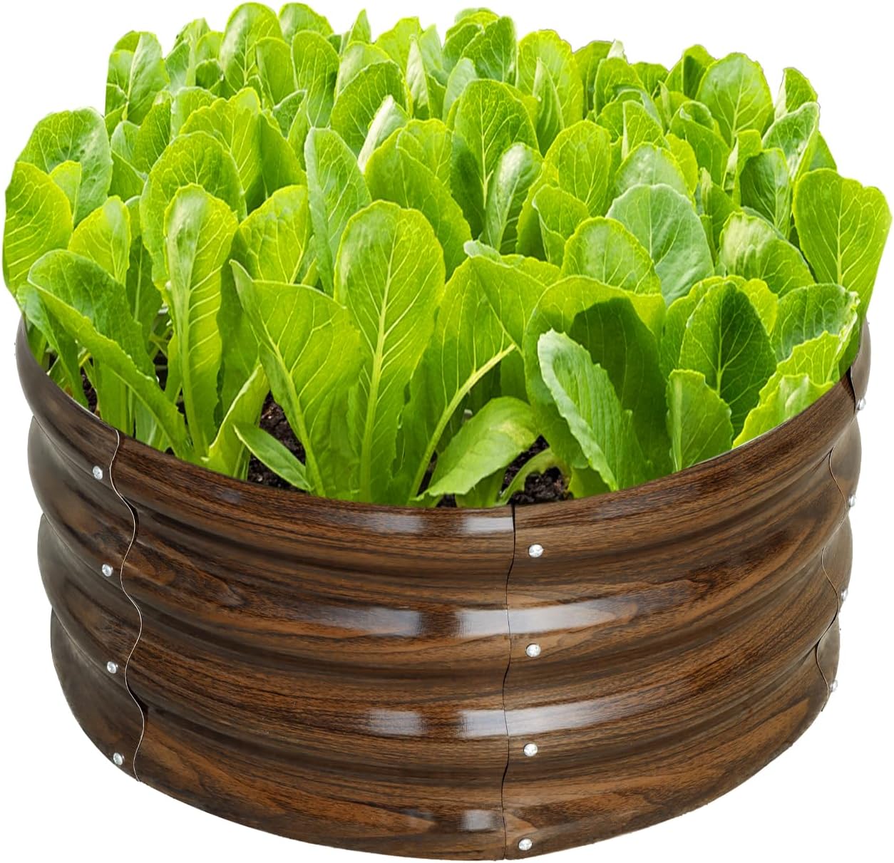 SnugNiture 4x2x1ft Oval Metal Garden Bed, 2x2x1ft Round Galvanized Raised Garden Bed