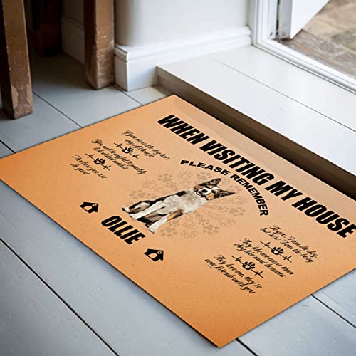 When Visiting My House Please Remember Boxer Dog Doormat Personalized Funny Entry Front Door 16x24 Inch Outside Carpet Decorative Doormats Gifts to Dogs Mama Papa Family Friends
