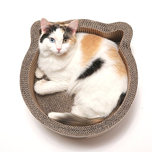 Necoichi Cat-Headed Scratcher Bed (Birch, Regular) | Cardboard Cat Scratcher Bowls for Indoor Cats - Cat Scratching Board, Cat Scratch Pad Reversible Usability and Extra Comfort for Lounge