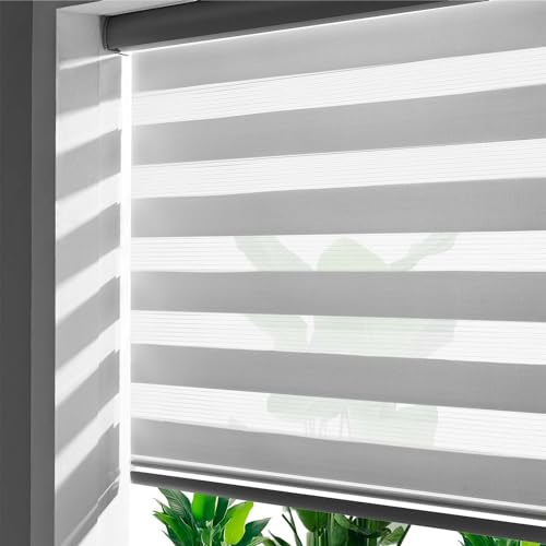 Zebra Blinds Roller Shades for Windows, Pretection Privacy, Light Filtering Control Day and Night, Corded Roll pull down Blind for home and office (offWhite - Width 20