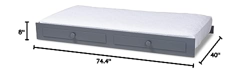 Baxton Studio Trundle, Single, Grey