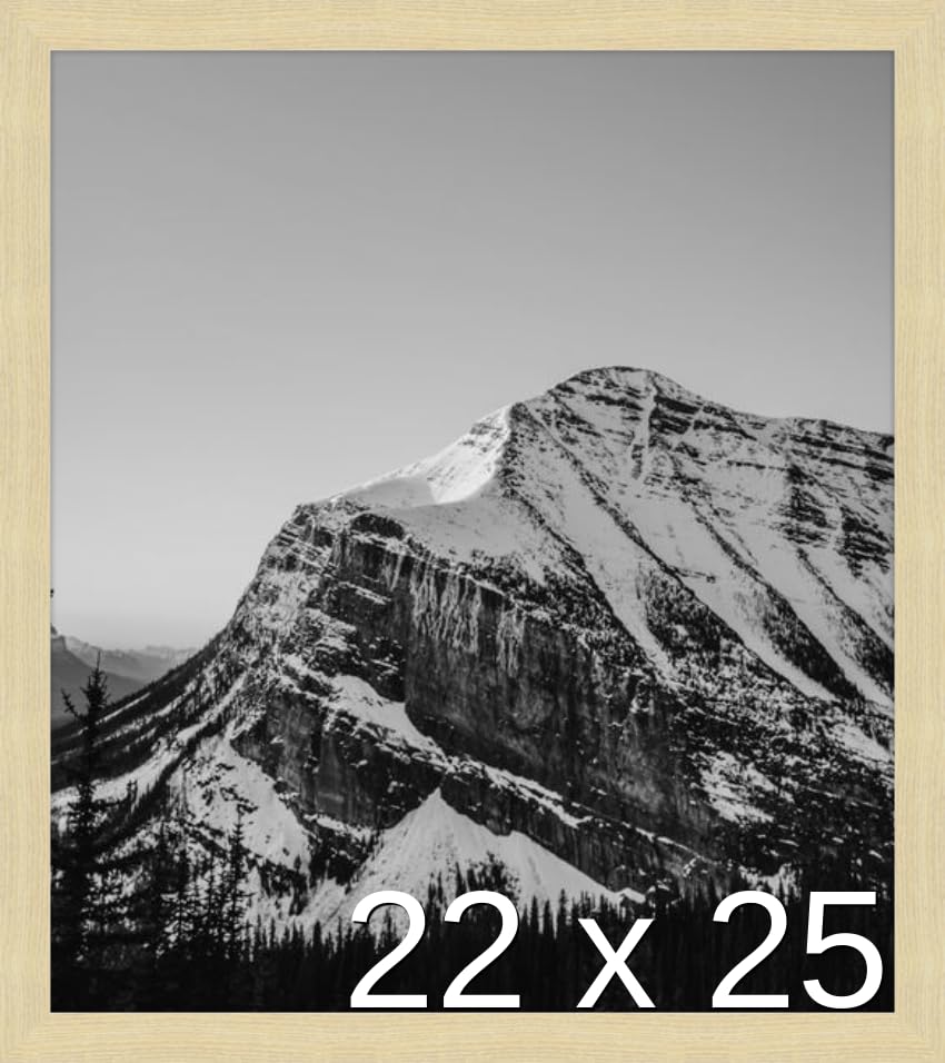 22 x 40 Black Wood Frame (Derby)