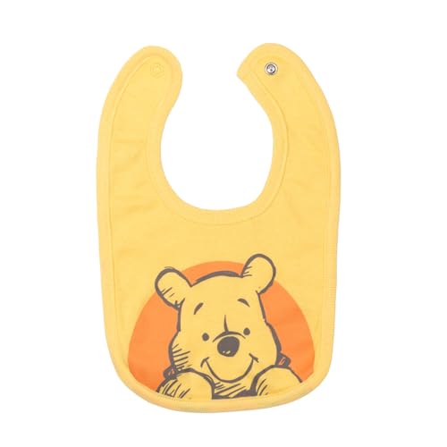 Disney Winnie The Pooh Babies Layette Set: Bodysuit Pants Bib Hat