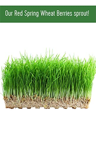 Hard Red Spring Wheat Berries | 25 LBS | Meet the Farmers | 100% Desiccant Free | Sproutable | Non-GMO Project Verified | Kosher | Poly Bag