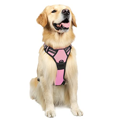rabbitgoo Dog Harness, No-Pull Pet Harness with 2 Leash Clips, Adjustable Soft Padded Dog Vest, Reflective No-Choke Pet Oxford Vest with Easy Control Handle for Large Dogs, Beige, L