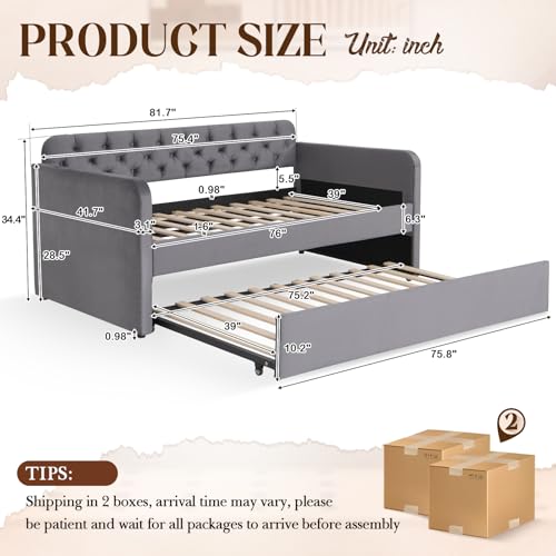 Antetek Twin Daybed with Trundle, Upholstered Velvet Daybed w/Pull Out Trundle Bed, USB Ports, Button Tufted Day Bed Frame for Living Room, Apartment, No Box Spring Needed, Beige