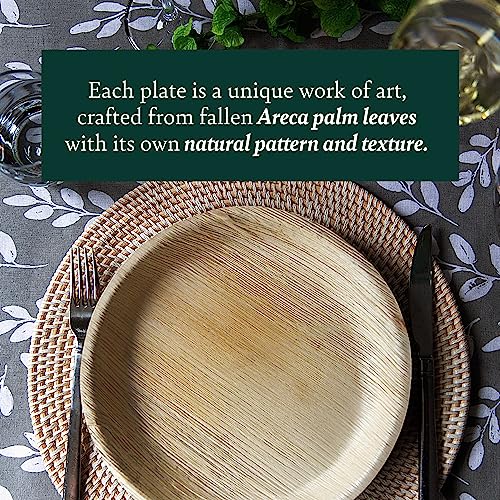 Chic Leaf Palm Leaf Plates Disposable Bamboo Plates Like 10 Inch & 7 Inch Round Party Pack (48 pk) Compostable and Biodegradable - Better than Plastic, Paper and Wood Plates