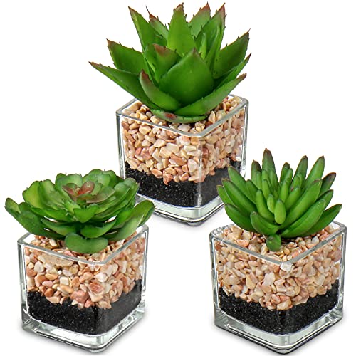 Briful Mini Fake Plants 3 Packs Cute Succulents Artificial Plants in Square Glass Vase Pot Potted Faux Succuletns for Living Room Dining Room Bathroom Kitchen Windowsill Table Decor