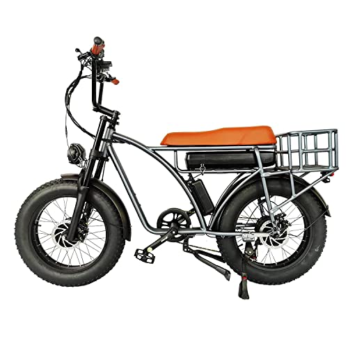 SMLRO Dual Motor 2000W Retro Two-Person Electric Bicycle, 7-Speed 20