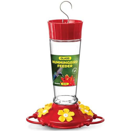 Hummingbird Feeder 10 oz. Glass Hummingbird Feeders for Outdoors, with Built-in Ant Guard - Circular Perch with 5 Feeding Ports - Wide Mouth for Easy Filling/2 Part Base for Easy Cleaning