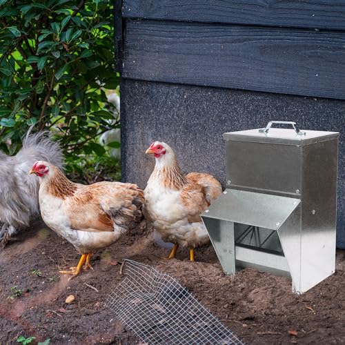 50lb Capacity Galvanized Chicken Feeder Weatherproof Coop Dispenser