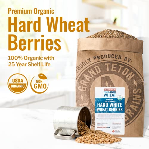 Grand Teton - 100% Organic Hard White Wheat Berries | US-Grown Wheat Berries Bulk | Packaged in 6 Gallon HDPE Pail for Long-Term Storage | 100% Desiccant Free | Certified 100% USDA Organic - 43 lbs
