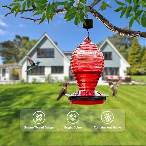 Glass Hummingbird Feeder, Red Hummingbird Feeders for Outdoors Hanging, 29 Ounces, Cute Spiral Shape Bottle Easy to Clean, 5 Feeding Ports, Ant Moat Included