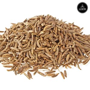 Naturevibe Botanicals Garlic Ground Powder, 5lbs | Raw, Gluten-Free & Non-GMO | Healthy Spice | Adds Flavor and Taste | [Packaging May Vary]