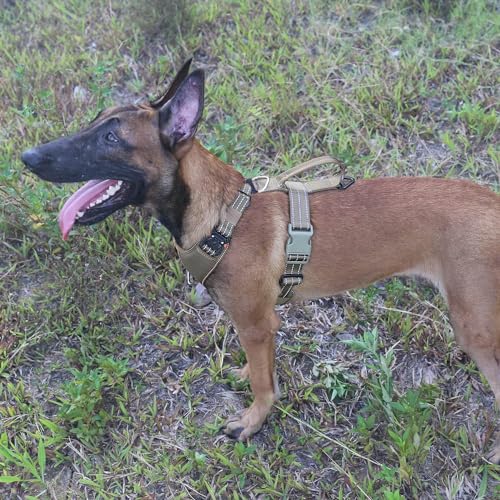 ICEFANG Dog Halter Harness with 2 x Metal buckles,for Large sized Dog,Military-Style K9 Vest,Y-Shape Chest,Adjustable Pet Harness,No-Pull Front Leash Clip (Large (Pack of 1), Brown)