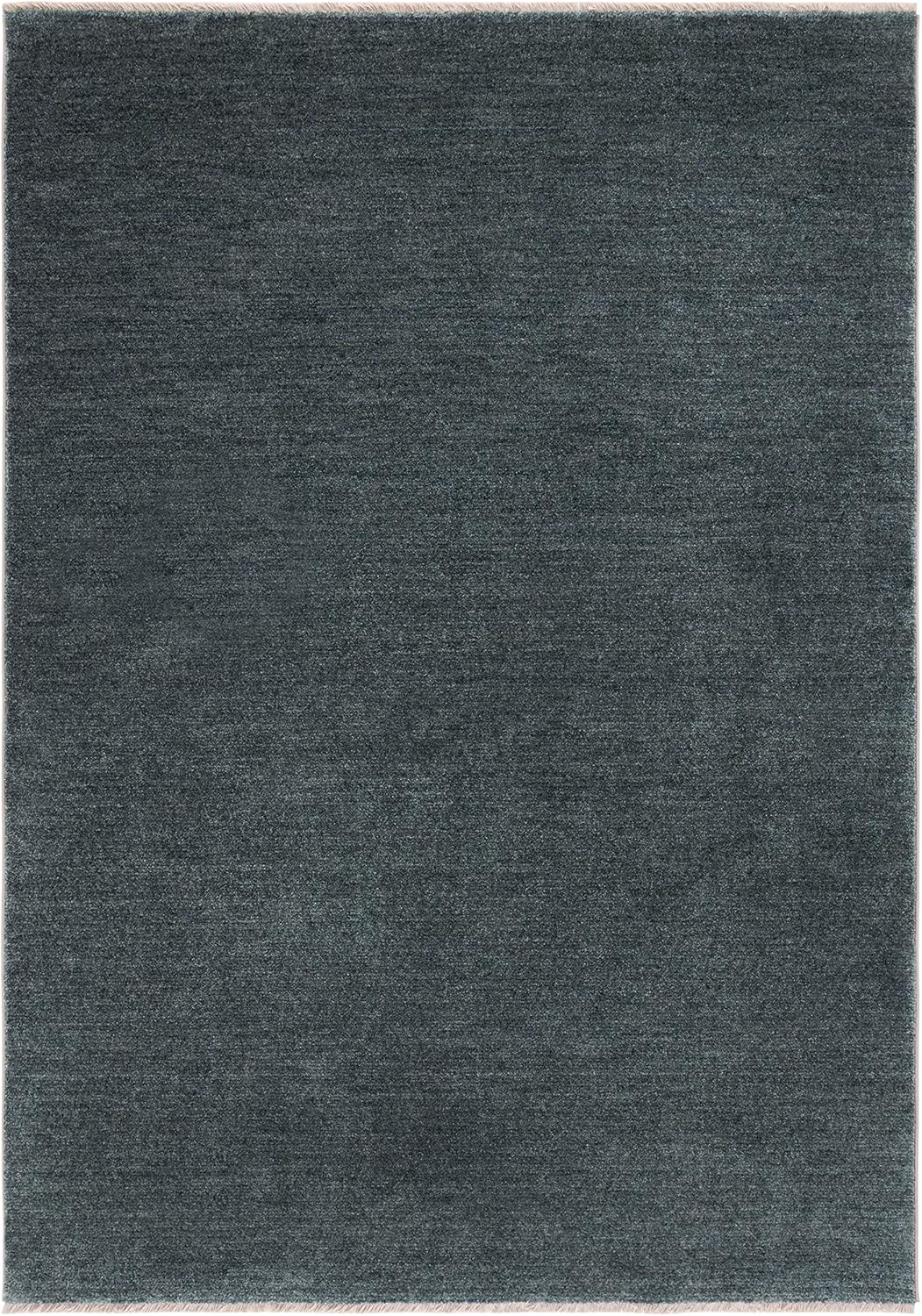 SAFAVIEH Lasa Collection Area Rug - 8' x 10', Green, Solid Fringe Design, Non-Shedding & Easy Care, Ideal for High Traffic Areas in Living Room, Bedroom (LAS104W)