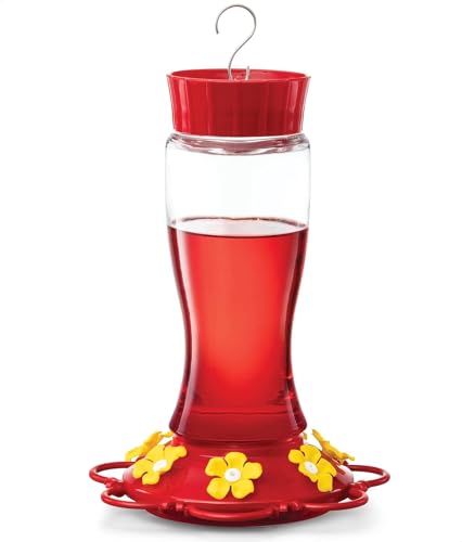 Hummingbird Feeder 20 oz [Set of 2] Glass Hummingbird Feeders for Outdoors, with Built-in Ant Guard - Circular Perch with 5 Feeding Ports - Wide Mouth for Easy Filling/2 Part Base for Easy Cleaning