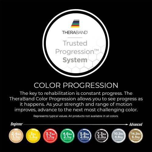 THERABAND Wellness Station Professional Latex Resistance Tubing With Connectors for Physical Therapy, Exercise Station for Rehab, Lower Pilates, Set of 2, 12 Inch, Red, Medium, Beginner Level 3