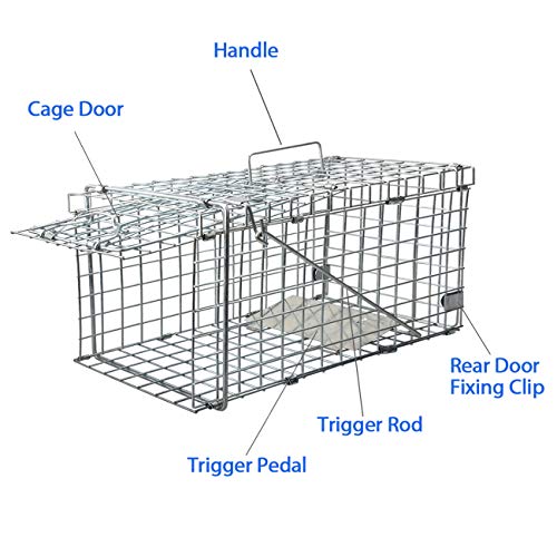 Heavy Duty Live Animal Trap for Squirrels, Small Rabbits and More