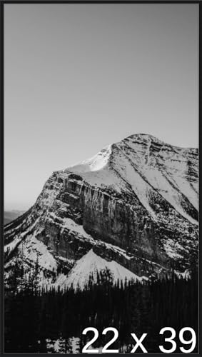 22 3/4 x 39 Satin Black Metal Frame (Ashford) 22.7x39 inches