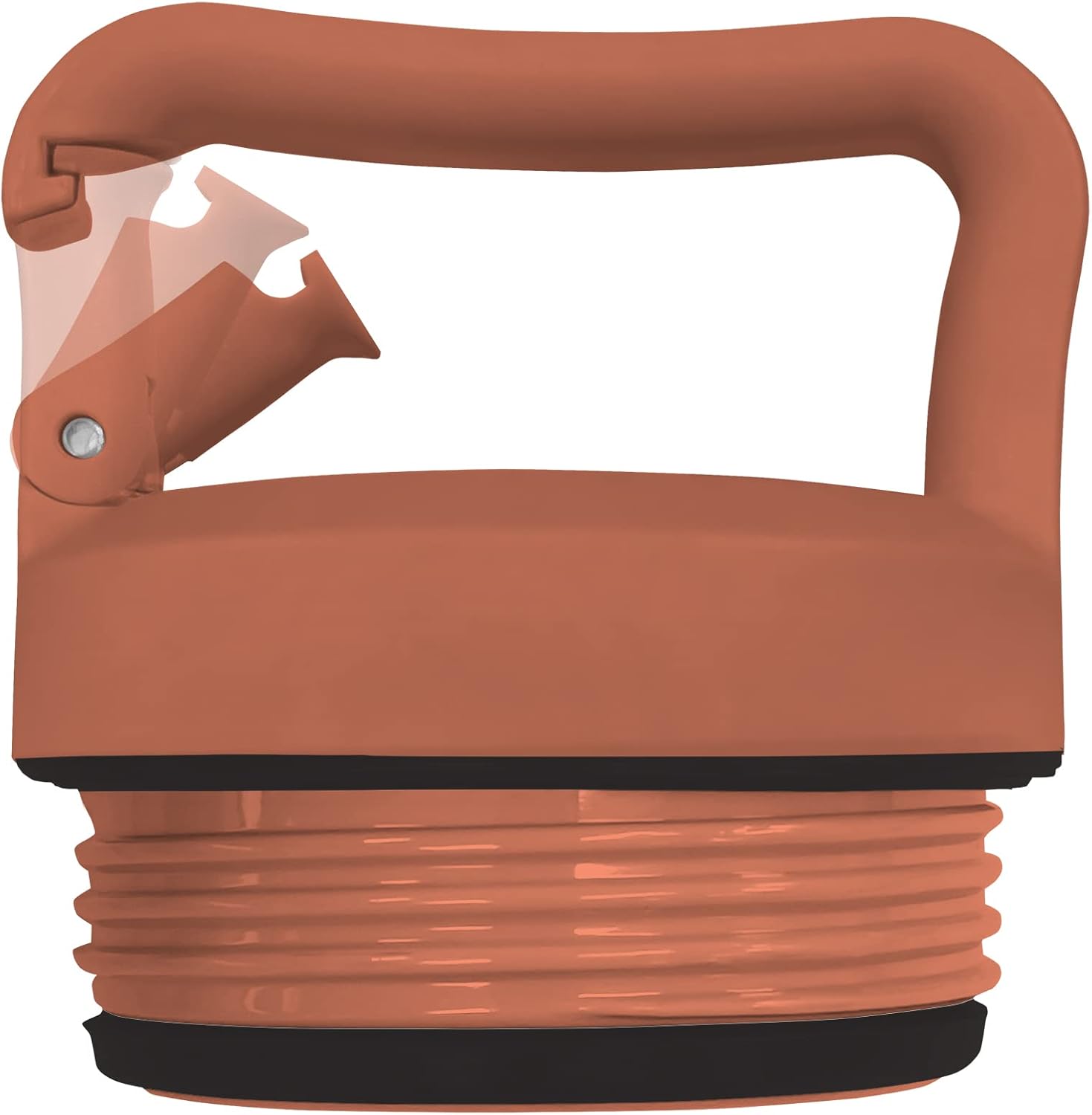 Studio Oh! Spellbound Snap-Hook Insulated Water Bottle with Straw, Double-Wall Stainless Steel Water Bottle, 20 oz