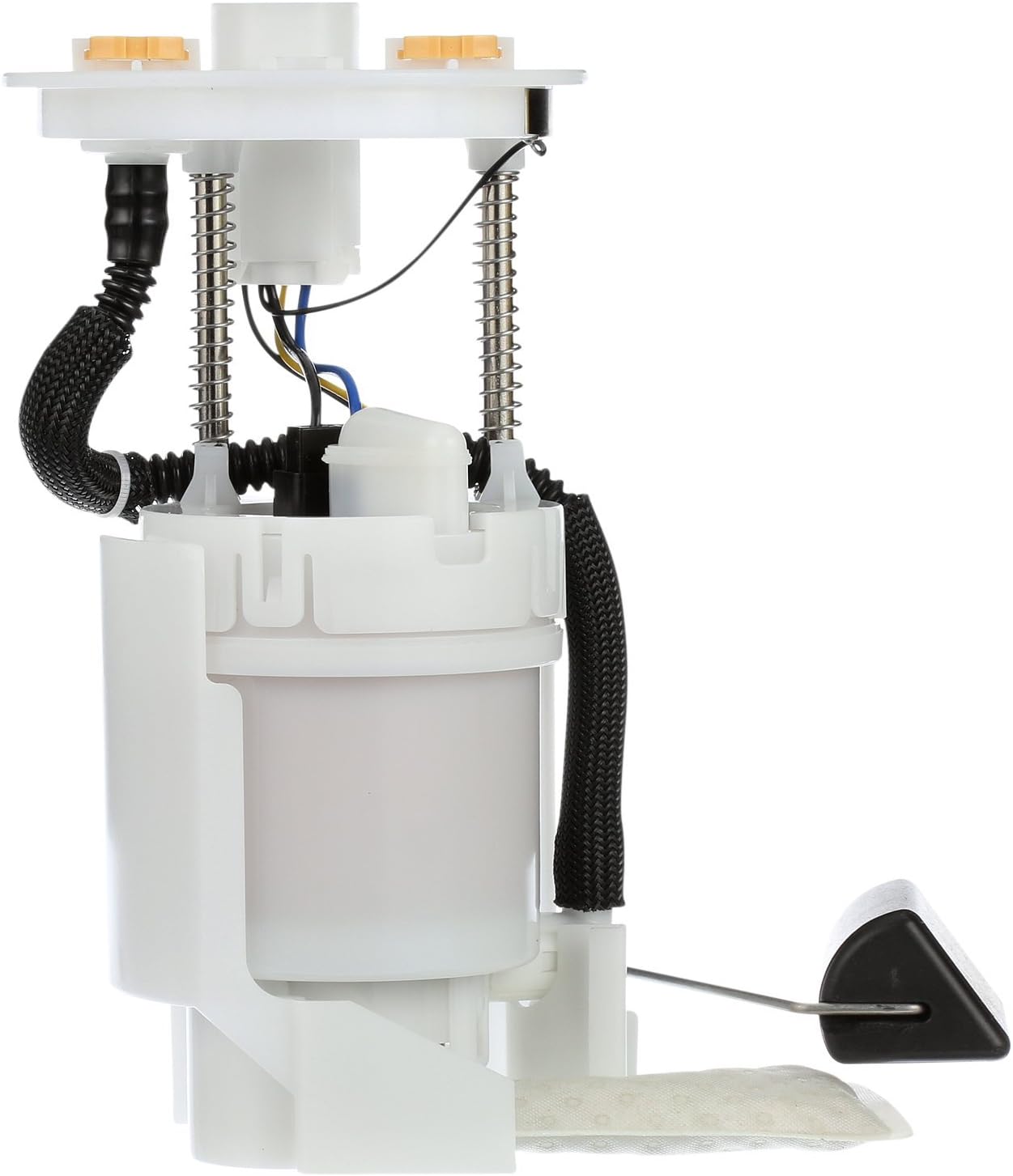 Delphi FG1358 Fuel Module