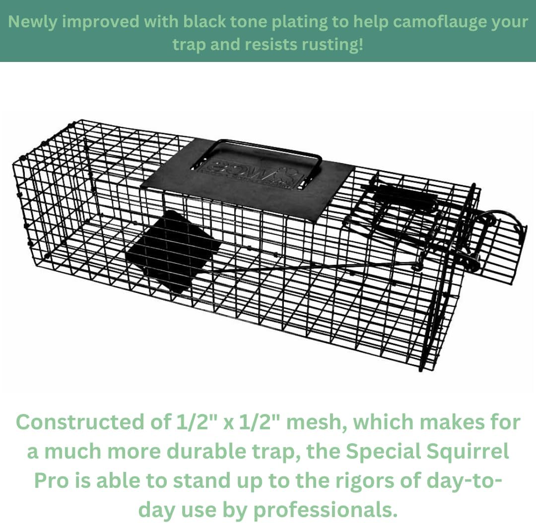 Special Squirrel Standard Cage Trap - Heavy Duty Black Mesh Snare - Safe and Effective Squirrel Control for Commercial and Residential Use - Great for Barns, Garages & Sheds