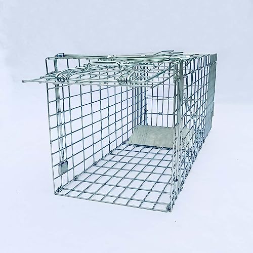 Collapsible Humane Live Animal Cage Trap No-Kill Trapping Kit for Humane Catch Release Rodent Small Cat, Rabbits, Squirrel, Opossum, Squire, Raccoon, All Fit Sized Small Animals, 2-Doors 24