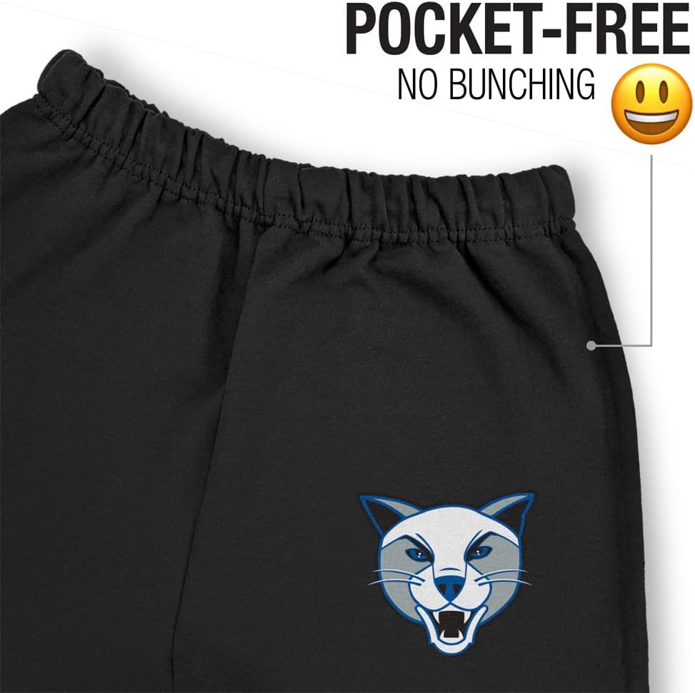 LOGOVISION Daemen College School Logo Mens Jogger Sweatpants, Black, Large