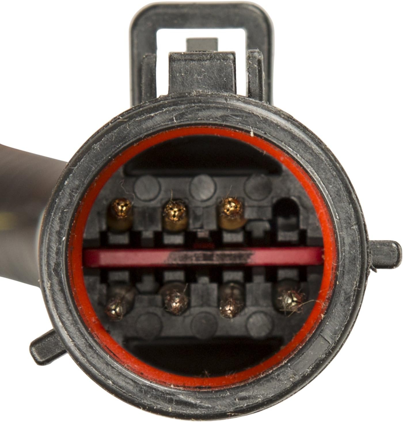 Delphi FG1209 Fuel Module