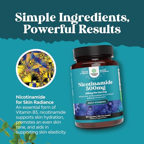 Vitamin B3 Niacinamide 500mg Capsules - Mitochondrial Energy and Potent Skin Supplement - AKA Vitamin B3 Niacin 500mg Flush Free and Nicotinamide 500mg - Flush Free Niacin Supplement - 240 Count