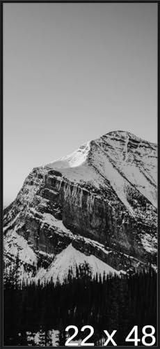 22 3/4 x 48 1/8 Satin Black Metal Frame (Ashford) 22.7x48.1 inches