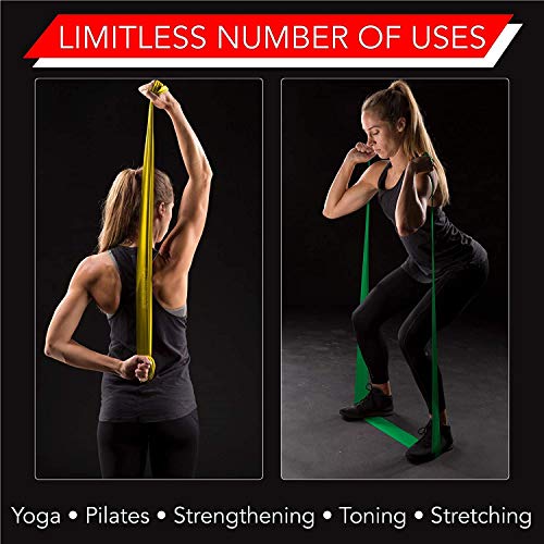 THERABAND Resistance Bands Set, Professional Latex-Free Elastic Band for Upper & Lower Body Exercise, Strength Training, Therapy, Pilates, Rehab, Beginner Pack