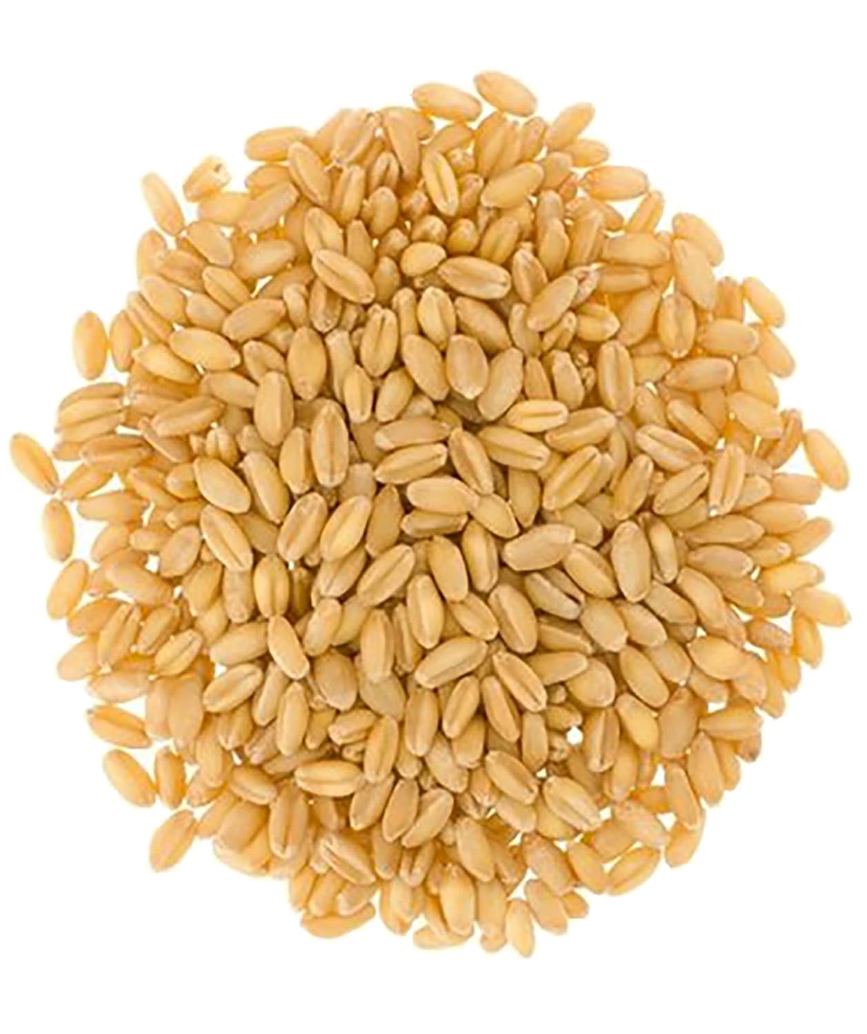 Soft White Wheat Berries | 25 LBS | Emergency Food Storage Bucket | Non-GMO | Grown on Our Family Farm | Bulk