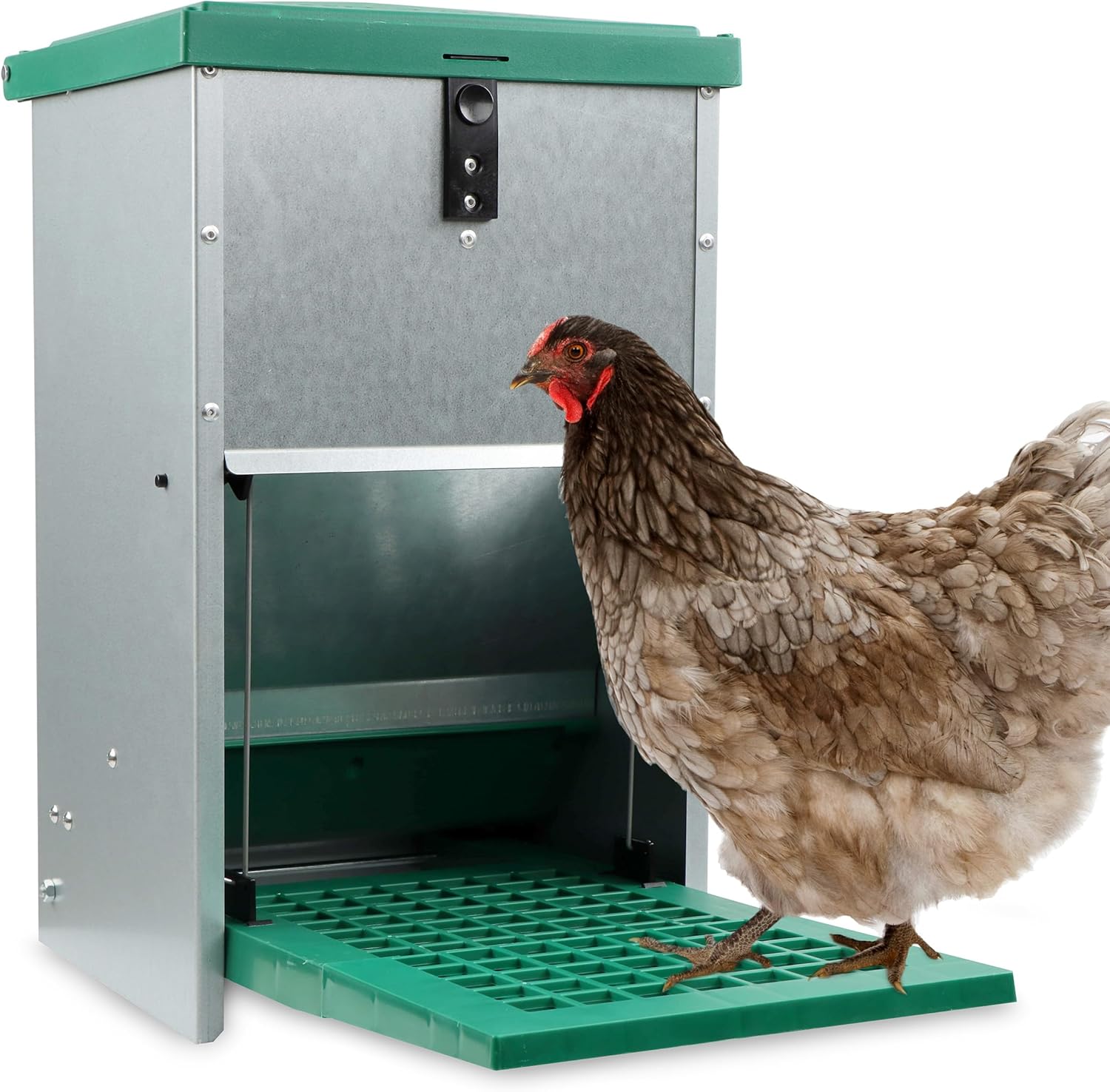 Chicken Treadle Feeder - 17.6 lb. Capacity, Pressure Lever Automatic Chicken Feeder System, Pest Proof