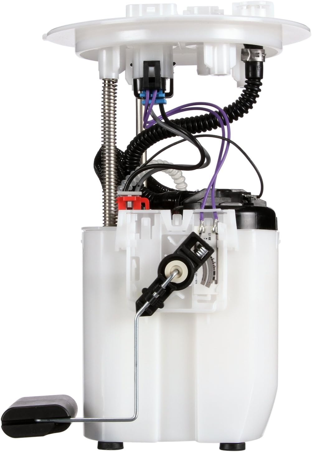 Delphi FG1381 Fuel Module