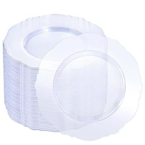 WDF 60pcs Clear Plastic Plates Disposable - 10.25inch Clear Dinner Plates Baroque Disposable Clear Plates for Holiday Gathering, Wedding, Party