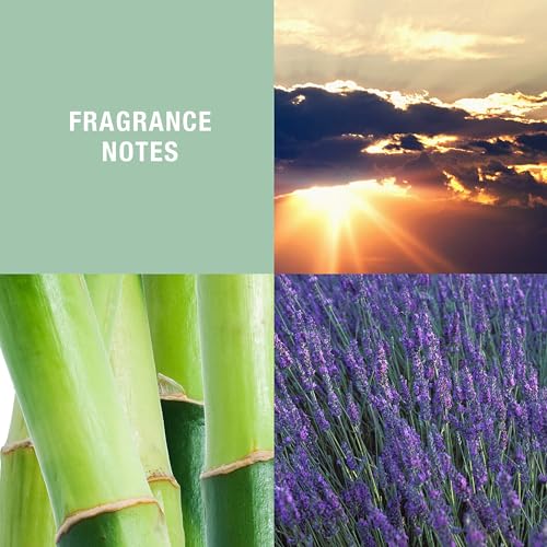 Curve Wave For Men, Cologne Spray with Casual Cool Day or Night Scent, 4.2 oz