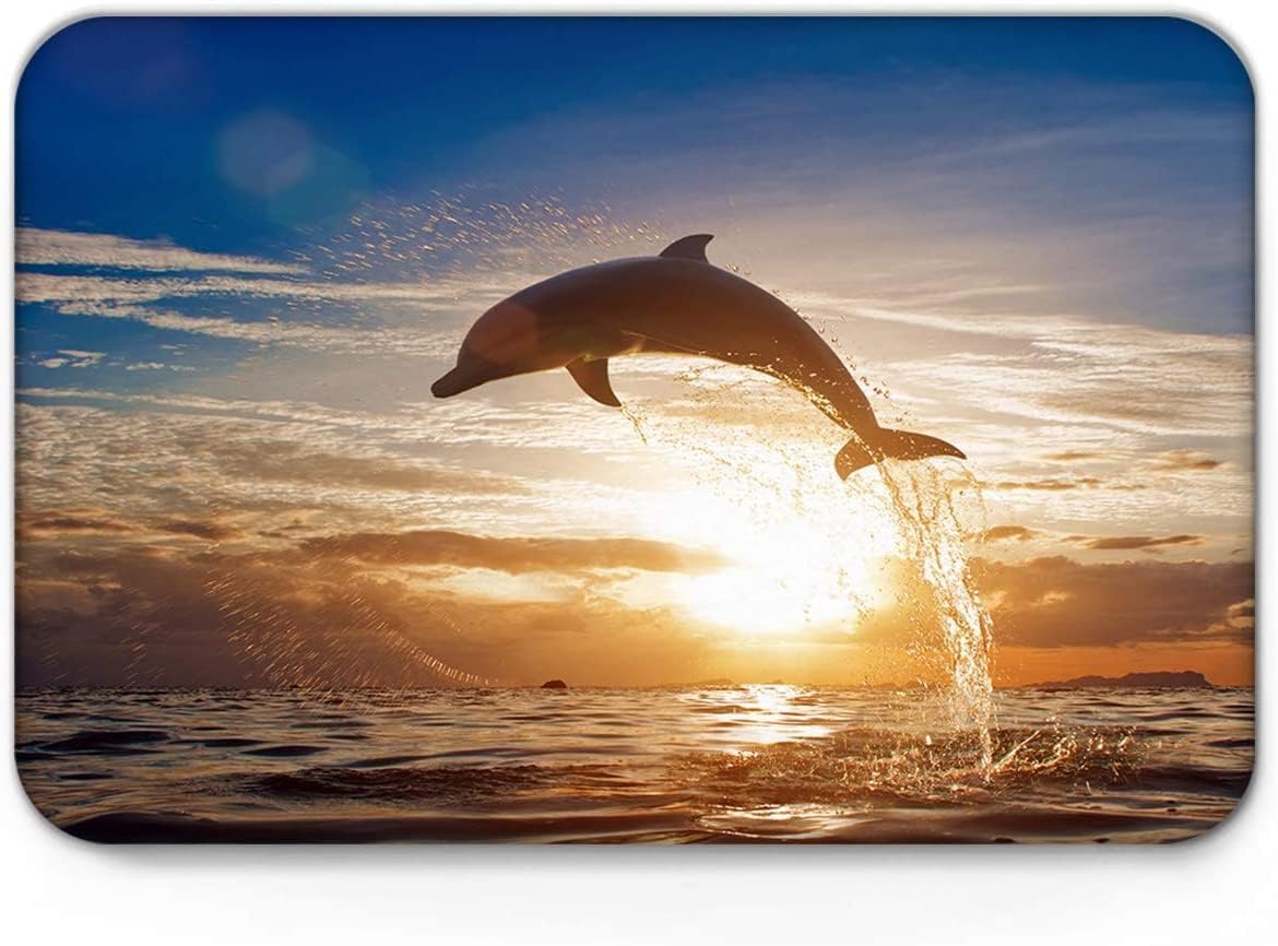 Dolphins Jumping in Clear Sea and Sunset Sky Marine Life Photograph Door Entrance Mat Easy Clean Mat Outdoor Home Decor for Kitchen Bathroom Garage 16X24Inch